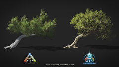 ASA Comparison Tree.png