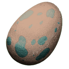Fasolasuchus Egg.png