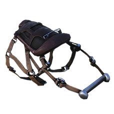 Dakosaurus Saddle.png