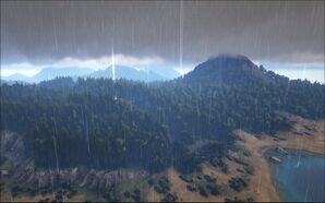 Eastern Forest.jpg