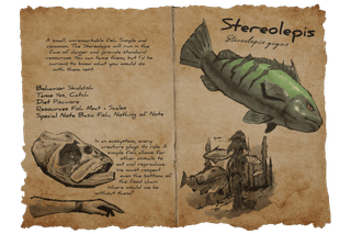 Dossier Stereolepis.png