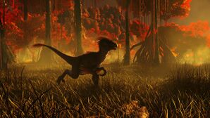 Fire Swamp (Crystal Isles).jpg