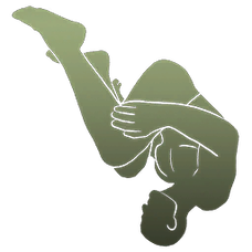 Backflip Emote.png