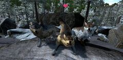 ARK Mobile 09.jpg