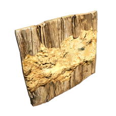 Adobe Window.png