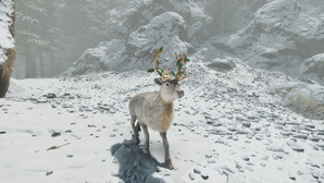 Reindeer In Game.jpg