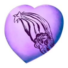 Chibi-Tusoteuthis.png