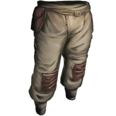 Cloth Pants.png