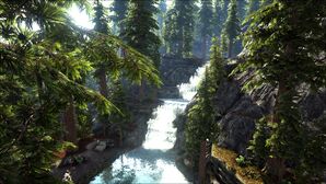 The Dam (Redwoods) (Valguero).jpg