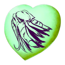 Chibi-Ammonite.png