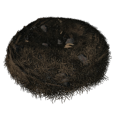 Wyvern Nest.png