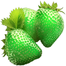 Verdberry.png