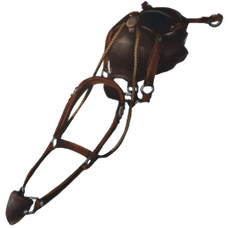 Pteranodon Saddle.png