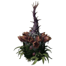 Plant Species X.png