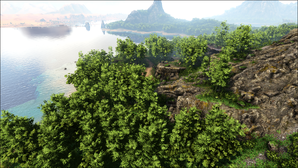 Bamboo grove (Lost Island).png