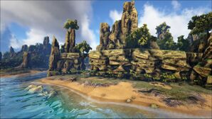 Jungle Mid Beach (The Center).jpg