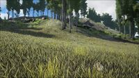 Biome Grasslands.jpg