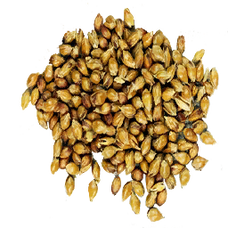 Sorghum Seed (Primitive Plus).png