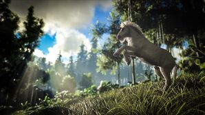 Equus-Unicorn.jpg