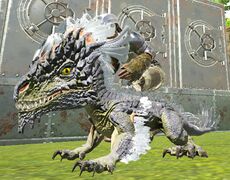 Rock drake.JPG