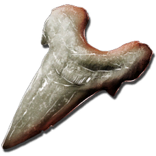 Golden Striped Megalodon Tooth.png