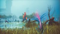 Biome Bog.jpg