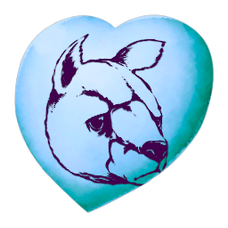 Chibi-Procoptodon.png