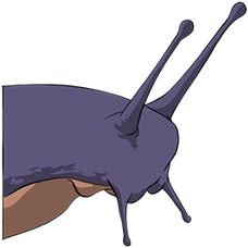 Achatina 'ARK The Animated Series' Costume.png