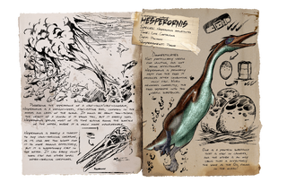 Dossier Hesperornis.png