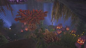 Playground (Genesis Part 1).jpg