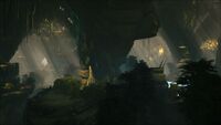 Biome Fertile Chamber.jpg