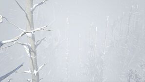 Obscured Forest (Genesis Part 1).jpg