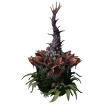 Plant Species X