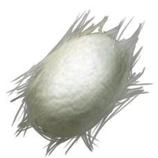 Silk.png