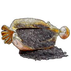 Mobile Papaver Seeds.png