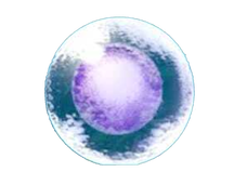 Untitled Phero.png