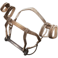 Grand Tortugar Saddle.png
