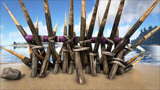 Wooden Spike Wall PaintRegion4.jpg