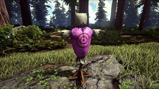 Training Dummy PaintRegion1.jpg