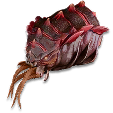 Alpha Cymathoa Trophy.png