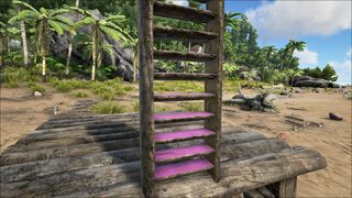 Wooden Ladder PaintRegion2.jpg
