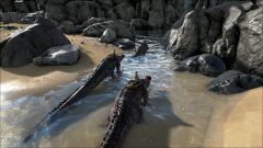 ARK18.jpg