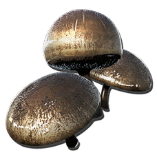 Aggeravic Mushroom.png