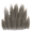 Pelt.png