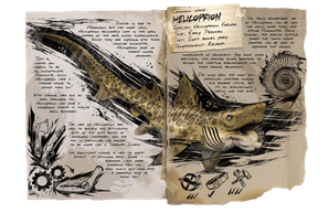 Dossier Helicoprion.png