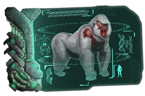 Dossier Megapithecus.png