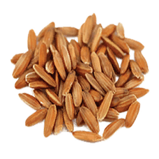 Rice Seed (Primitive Plus).png