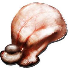 Gasbags bladder.png