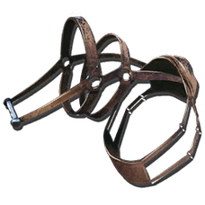 Megatherium Saddle.png