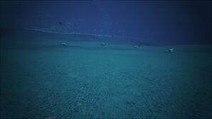 Underworld Ocean (The Center).jpg